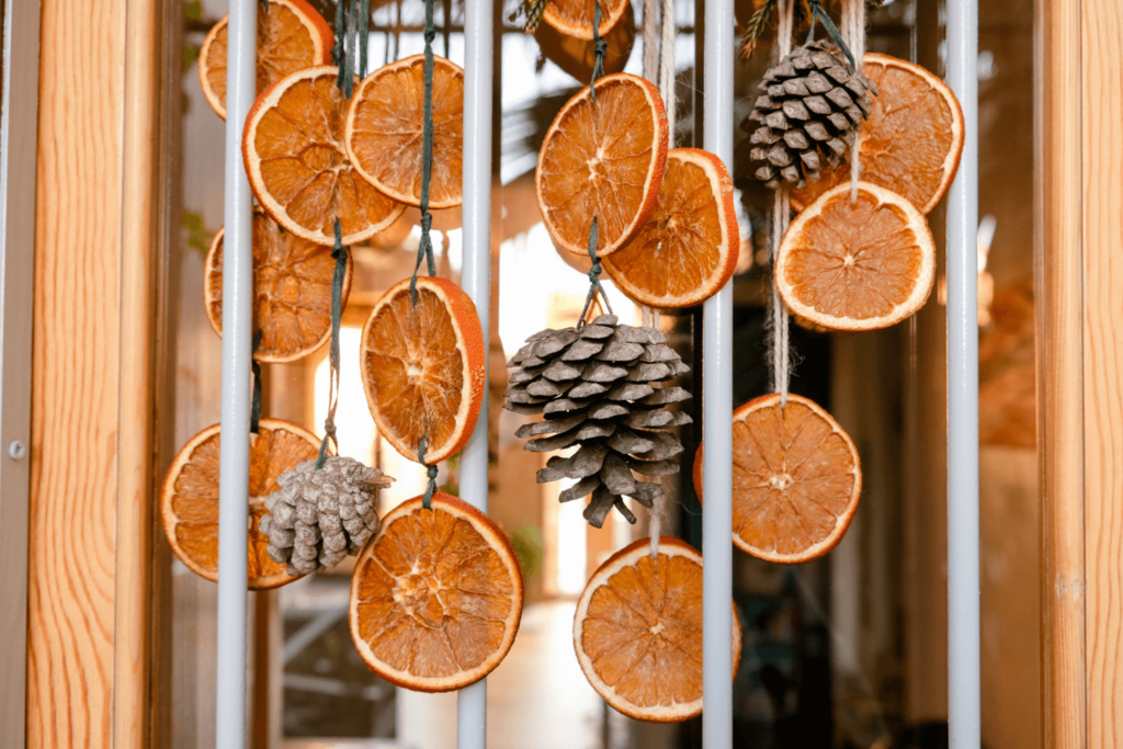 Hanging homemade holiday ornaments of dried orange wheels and pinecones.