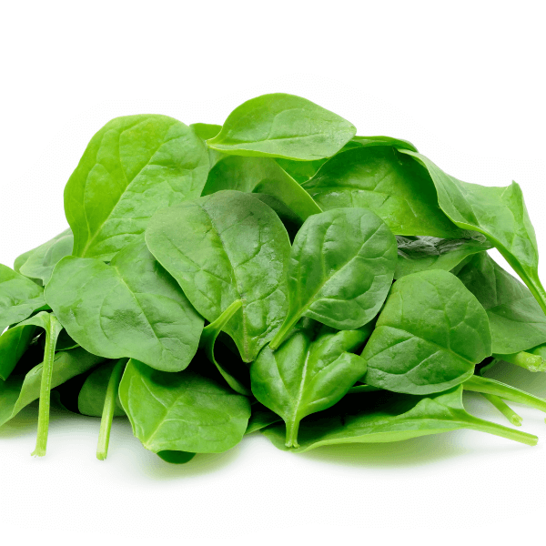 Paile of baby spinach on white background.