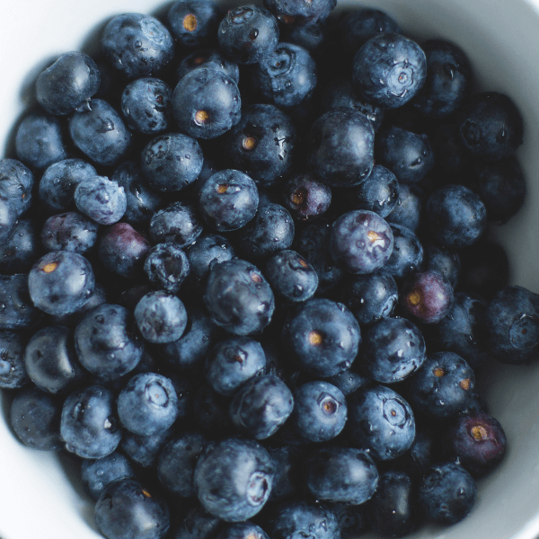 Bowl of blueberries.