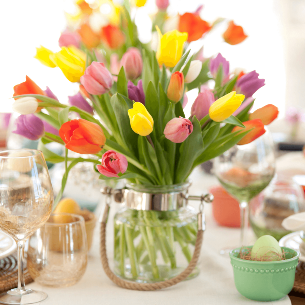 colourful tulips