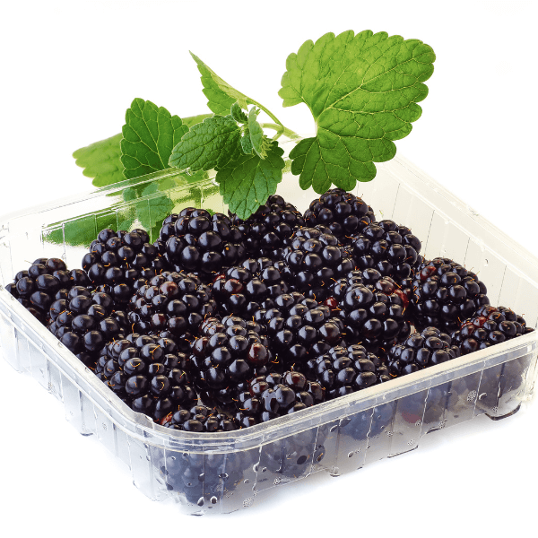 Plastic container of blackberries with fresh leaves.