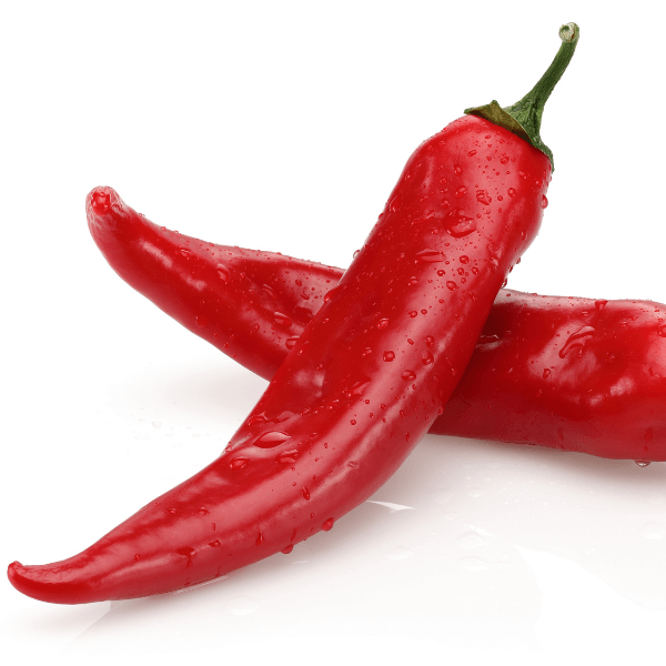 fresh red chili peppers on white background