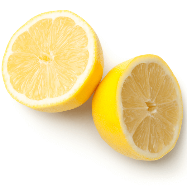 sliced lemon on white background