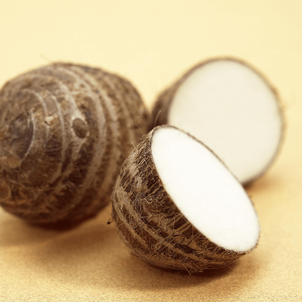 Caribbean vegetable: whole and sliced dasheen.