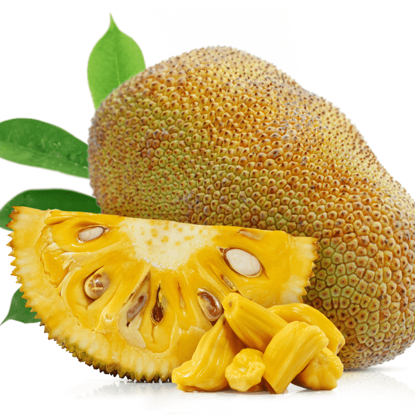 Caribbean fruit: whole and sliced jackfruit on white baxkground