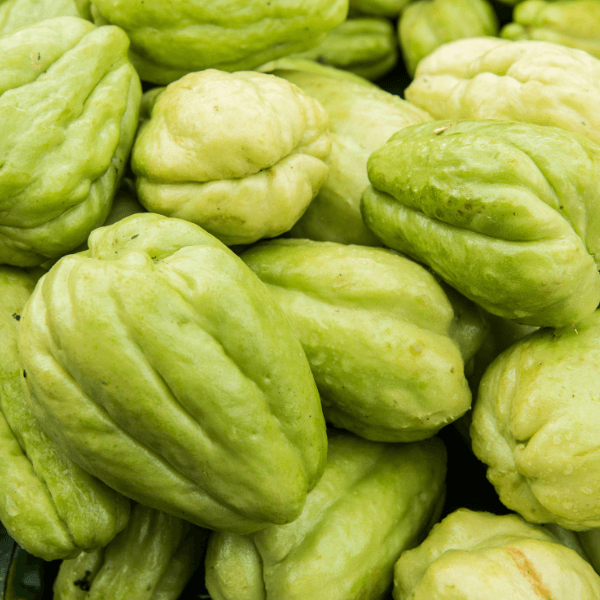 Pile of chayote squash.