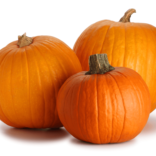 Three pumpkins of different sizes on white background.