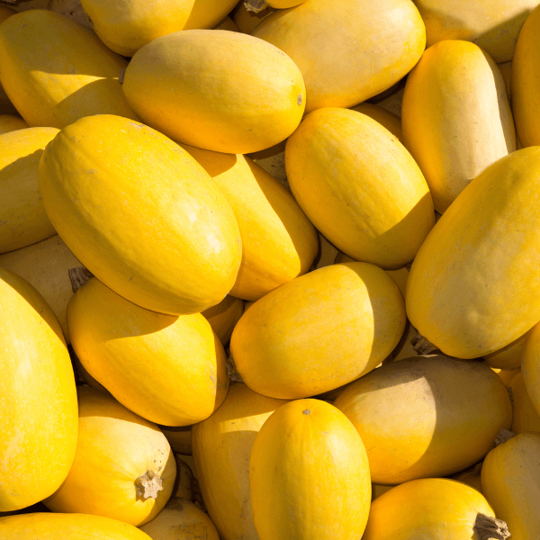 Pile of spaghetti squash.