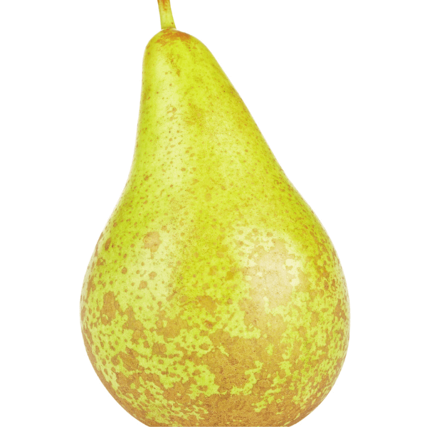 Abate Fetel pear on white background